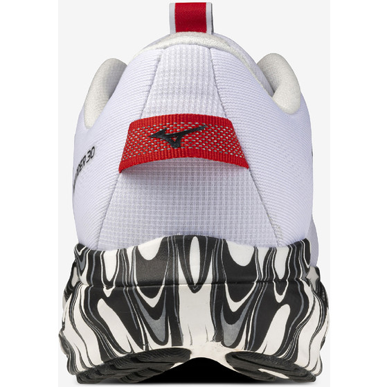 Mizuno Wave Rider 30 Disclosure