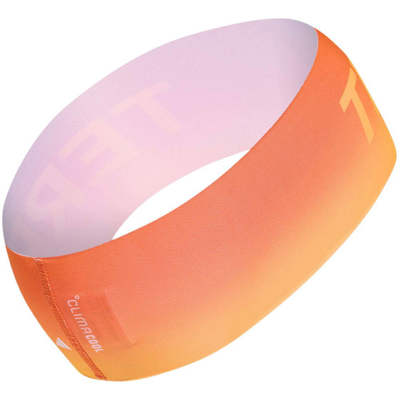adidas Terrex Hoofdband