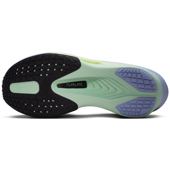 Nike Zoom Fly 6 Homme