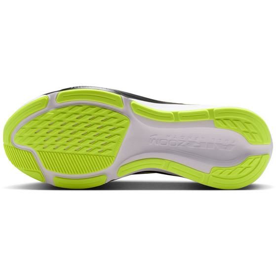 Nike Pegasus 42 Herren