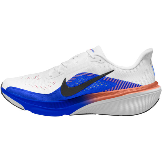 Nike Pegasus 42 Heren