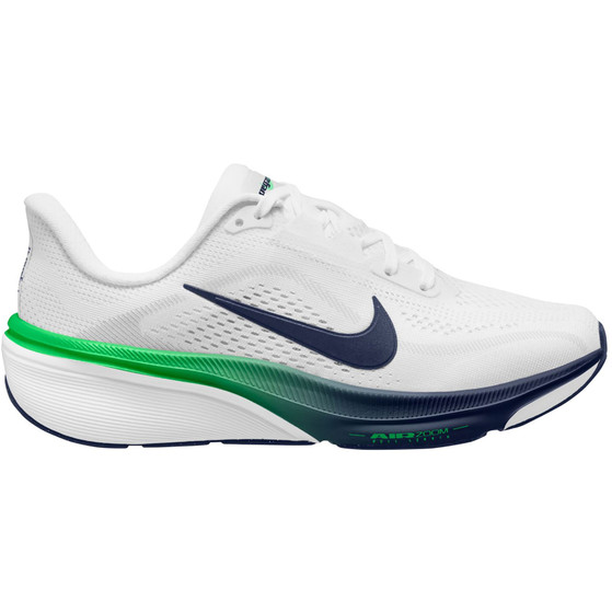 Nike Pegasus 42 Kids