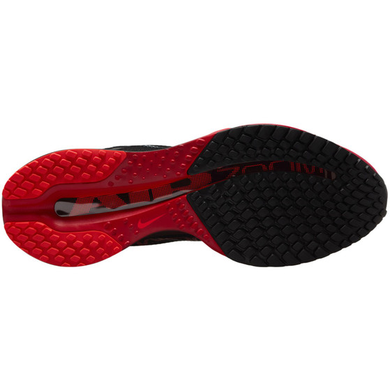 Nike Pegasus Premium Herren