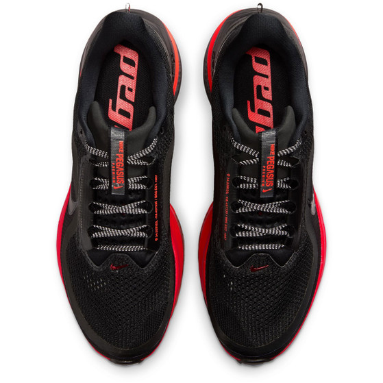 Nike Pegasus Premium Herren