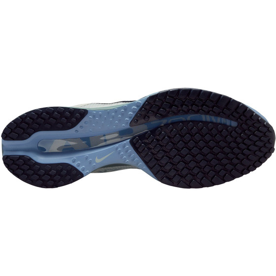 Nike Pegasus Premium Heren