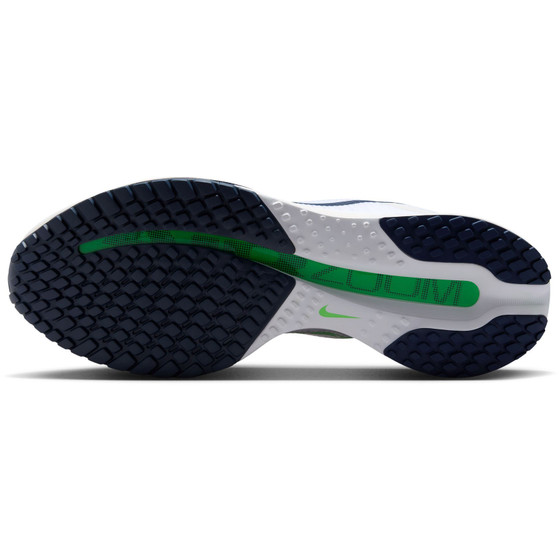 Nike Pegasus Premium Men