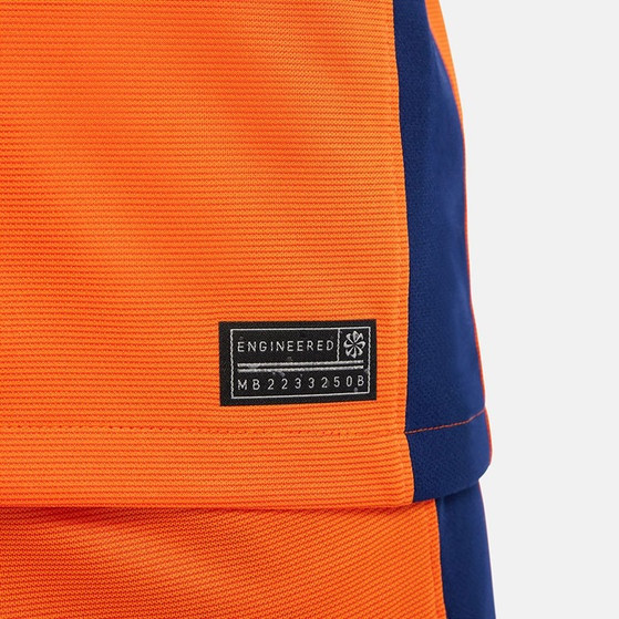 Nike Nederland Thuis Shirt Dumfries 22 Kids