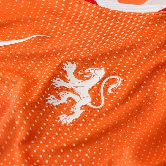 Nike Nederland Thuis Shirt Buurman 4 Dames