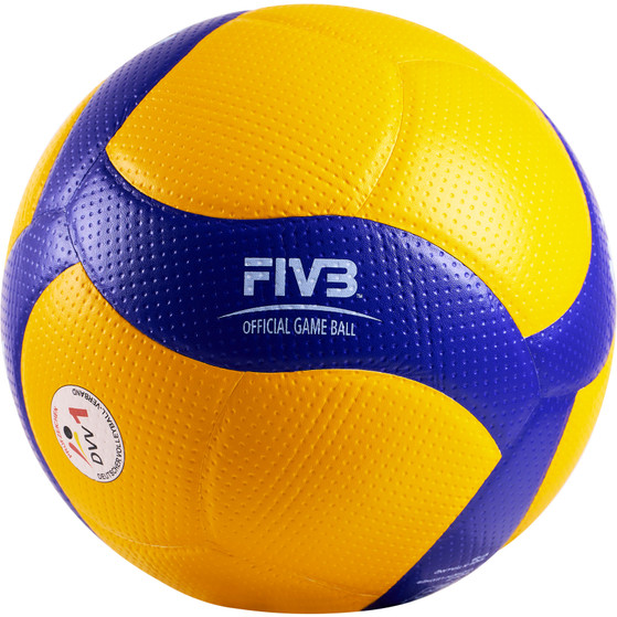 Mikasa V200W-DE