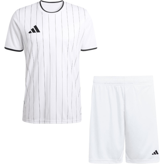 adidas Entrada 26 GFX Trainingsset