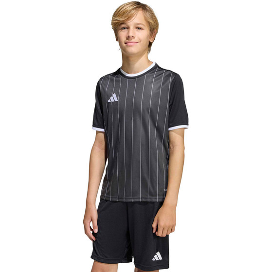 adidas Entrada 26 GFX Trainingsset
