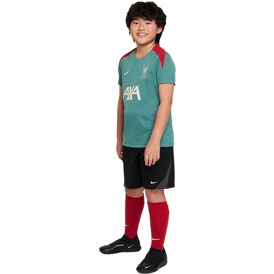 Nike Liverpool Strike Trainingsset Kids