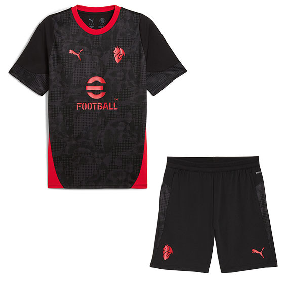 Puma AC Milan Training Set