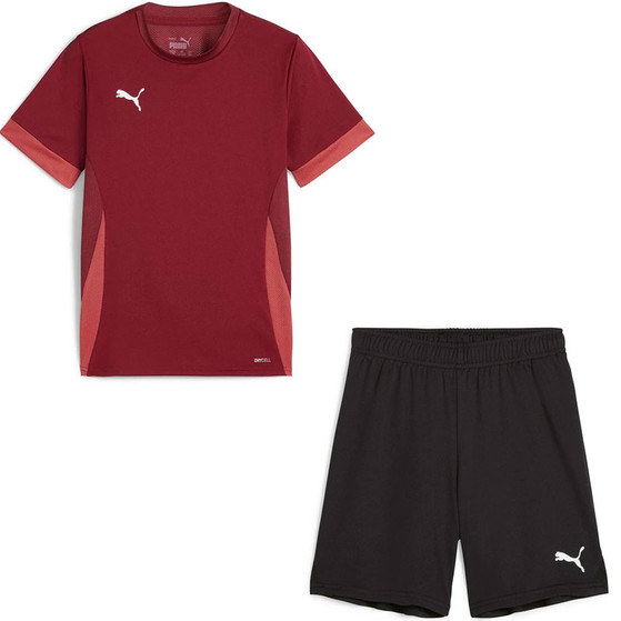 Puma GOAL Trainingsset