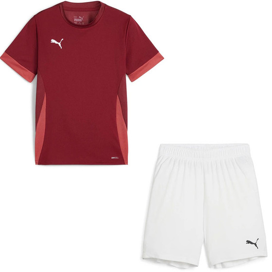 Puma GOAL Training Set Kids