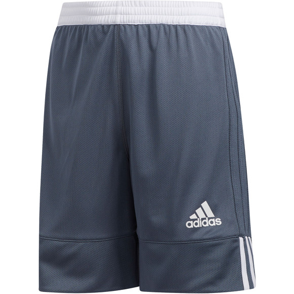 3g speed reversible shorts
