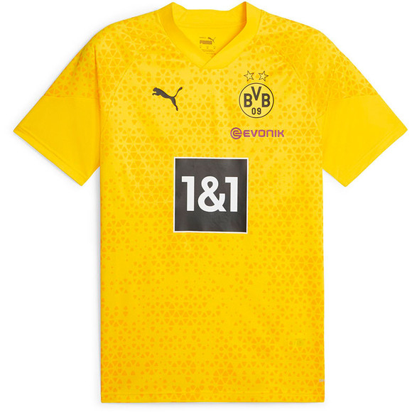 Bvb outlet training jersey