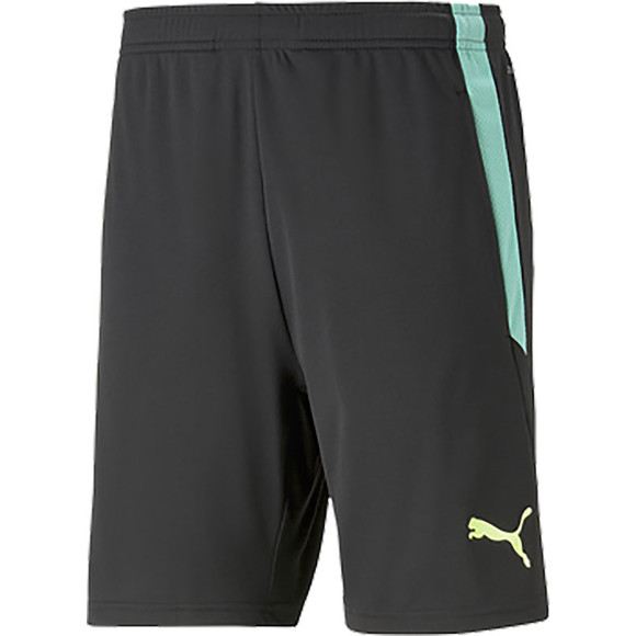 Puma liga deals training