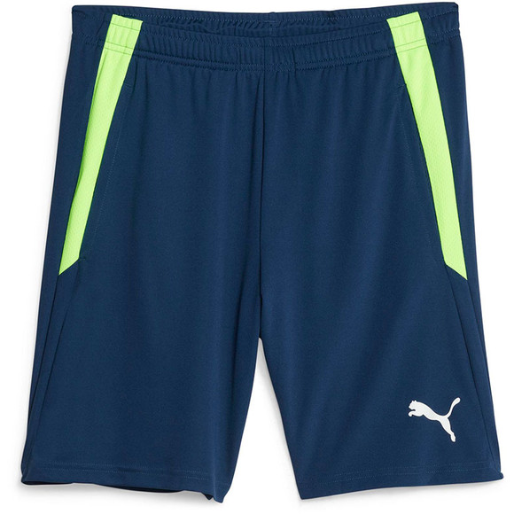 Puma liga training shorts store