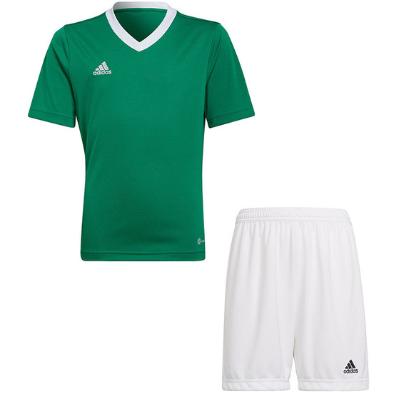 Adidas top entrada 12