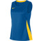 Blauw/Geel