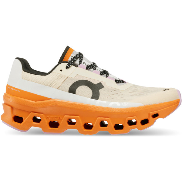 ON Cloudmonster Women