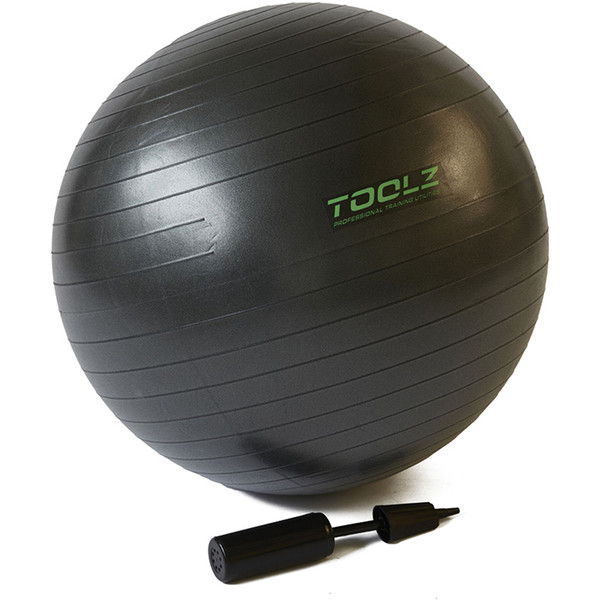 Toolz Gymnastic Ball 55CM - Afbeelding 1