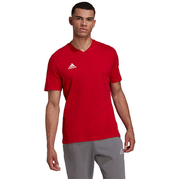 adidas Entrada 22 Tee