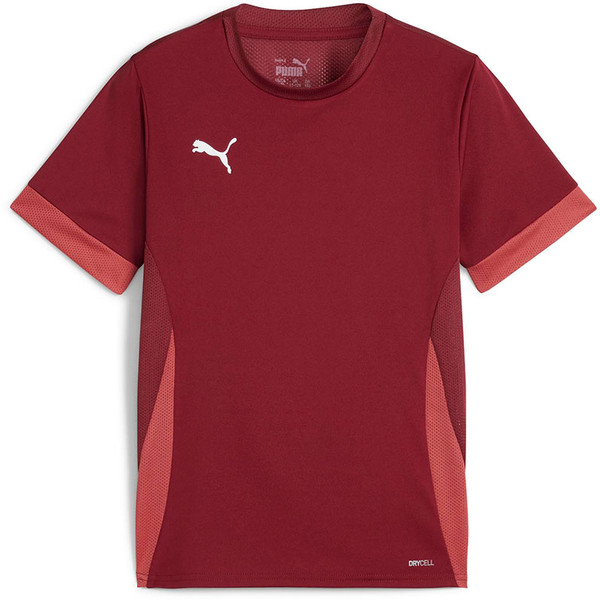 Puma GOAL Matchday Jersey Kids