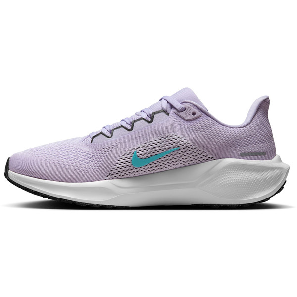 Nike Pegasus 41 Dam