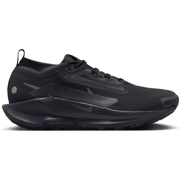 Nike Pegasus Trail 5 GTX Heren