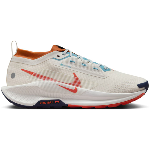 Nike Pegasus Trail 5 GTX Heren afbeelding