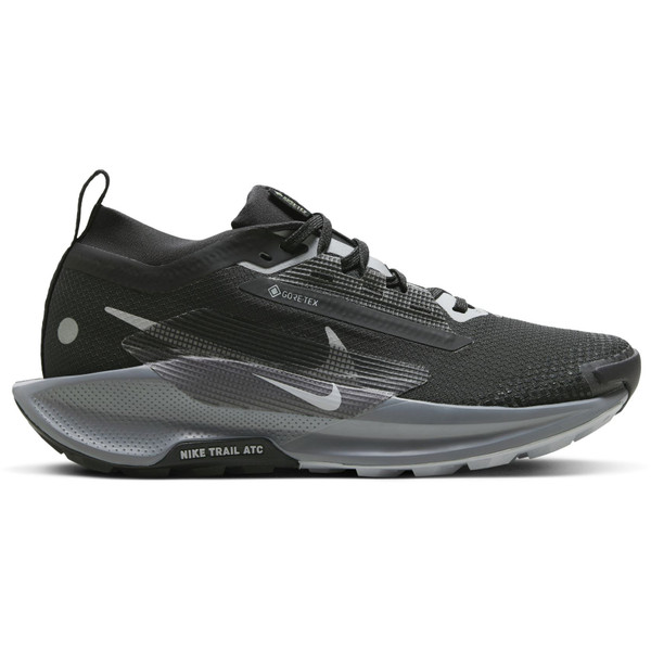 Nike Pegasus Trail 5 GTX Dames afbeelding
