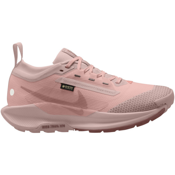 Nike Pegasus Trail 5 GTX Dames afbeelding