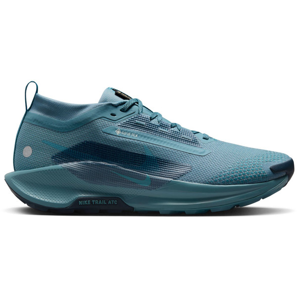 Nike Pegasus Trail 5 GTX Heren afbeelding