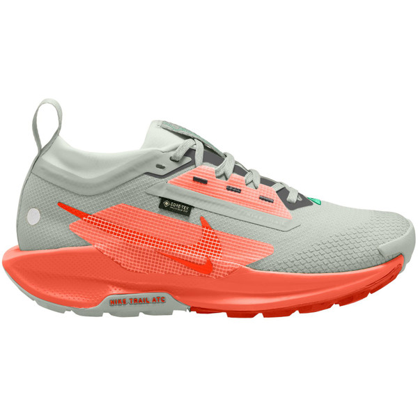 Nike Pegasus Trail 5 GTX Dames afbeelding