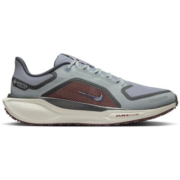 Nike Pegasus 41 GTX Heren afbeelding