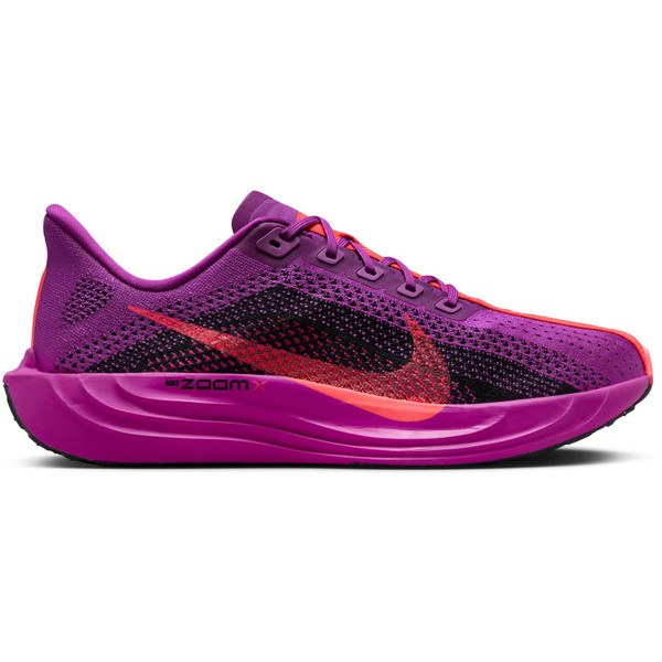Nike Pegasus Plus Heren