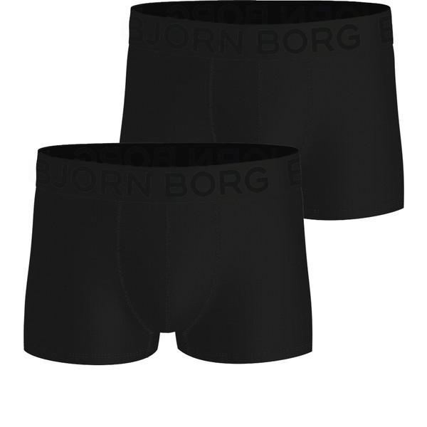 Björn Borg Sports Mesh Trunk 2-Pack Heren afbeelding