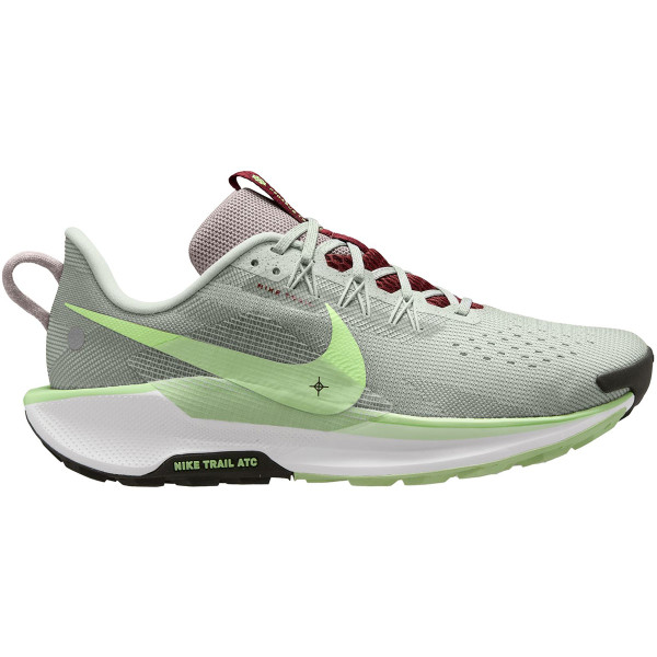 Nike Pegasus Trail 5 Heren afbeelding
