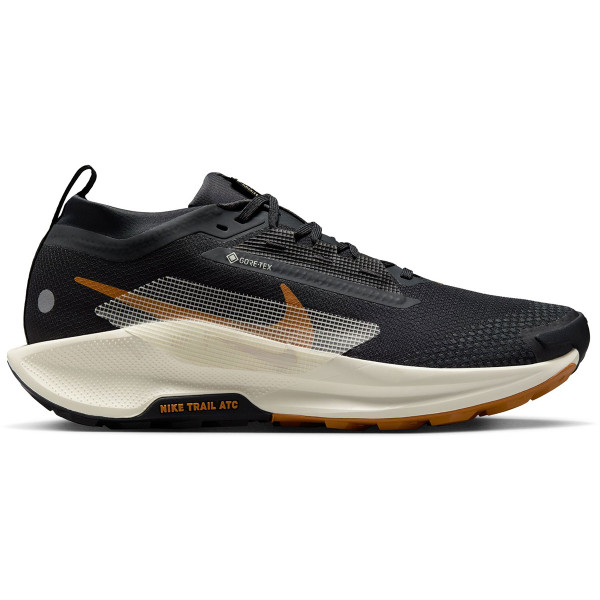 Nike Pegasus Trail 5 GTX Heren afbeelding