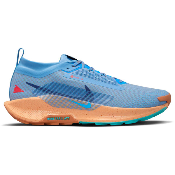 Nike Pegasus Trail 5 GTX Heren afbeelding