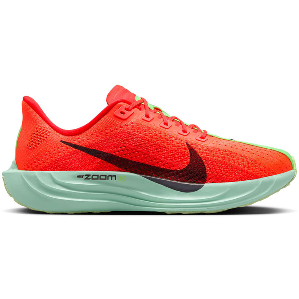 Nike Pegasus Plus Heren afbeelding