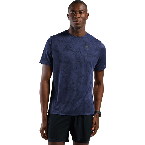 Odlo ZeroWeight Crew Neck Chilltec T-Shirt Heren afbeelding