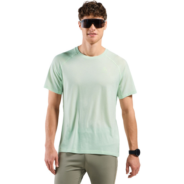 Odlo X-Alp PW 115 T-Shirt Heren afbeelding
