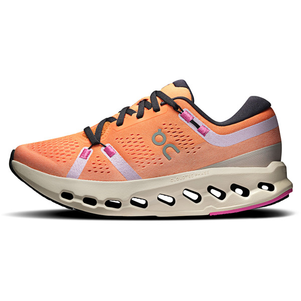 On Cloudsurfer 2 Dam