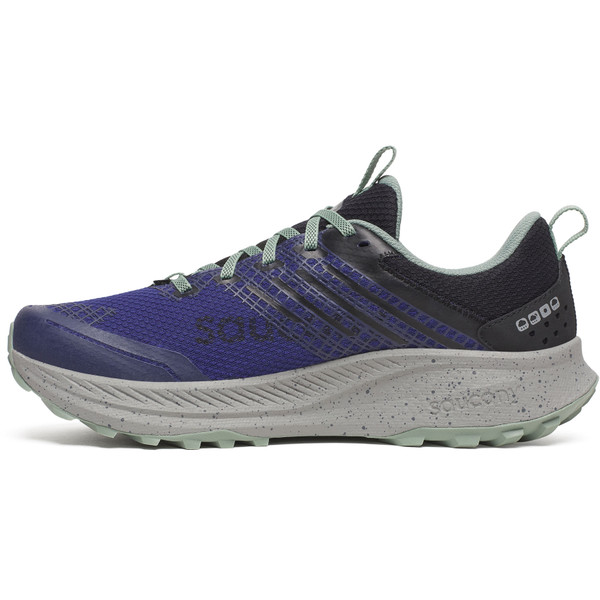 Saucony Ride TR 2 GTX Herr