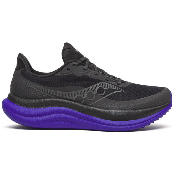 Saucony Triumph 23 GTX Heren