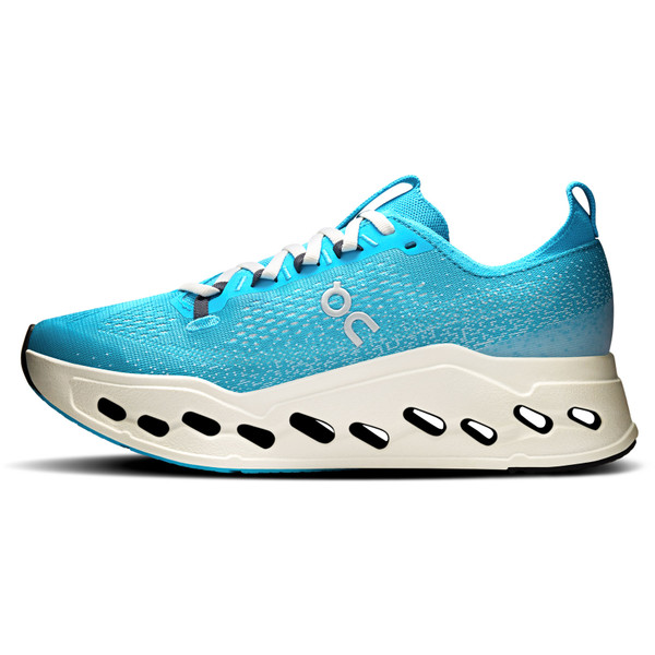 On Cloudsurfer Max Dam