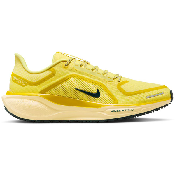 Nike Pegasus 41 GTX Heren afbeelding